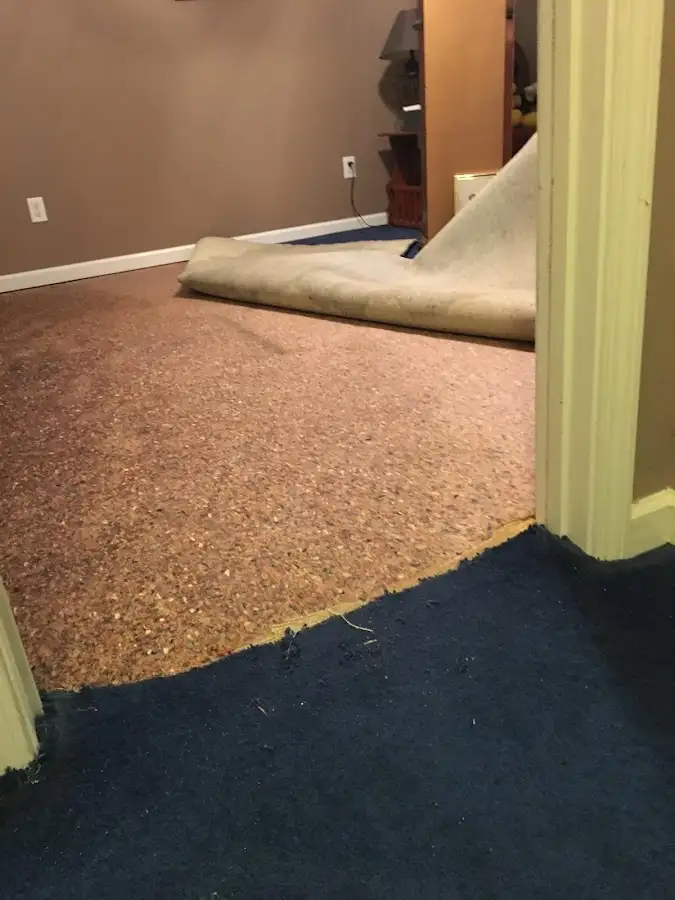 Carpet pad removal revealing water damage during Drying & Dehumidification in Sun City West