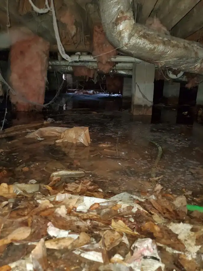 Crawl space flood assessment for Commercial Water Damage Restoration in Sun City West