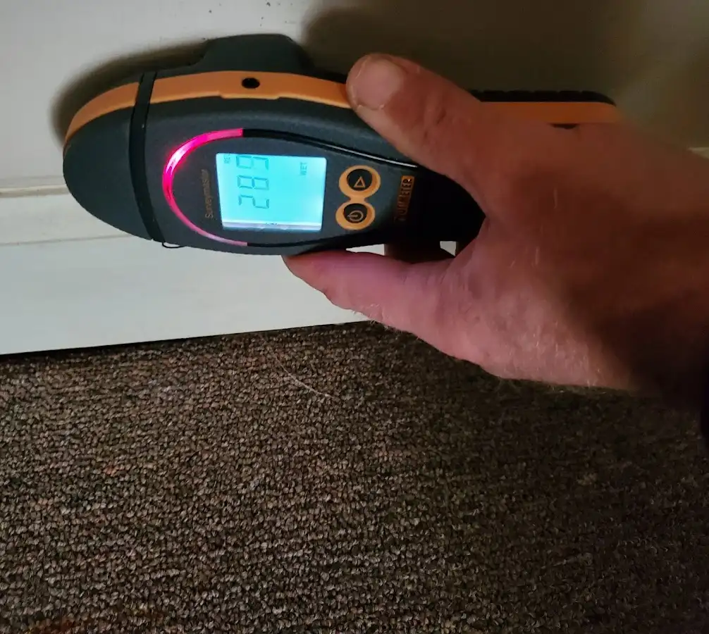 Moisture detection at baseboard during Sewage Cleanup & Sanitation in Sun City West